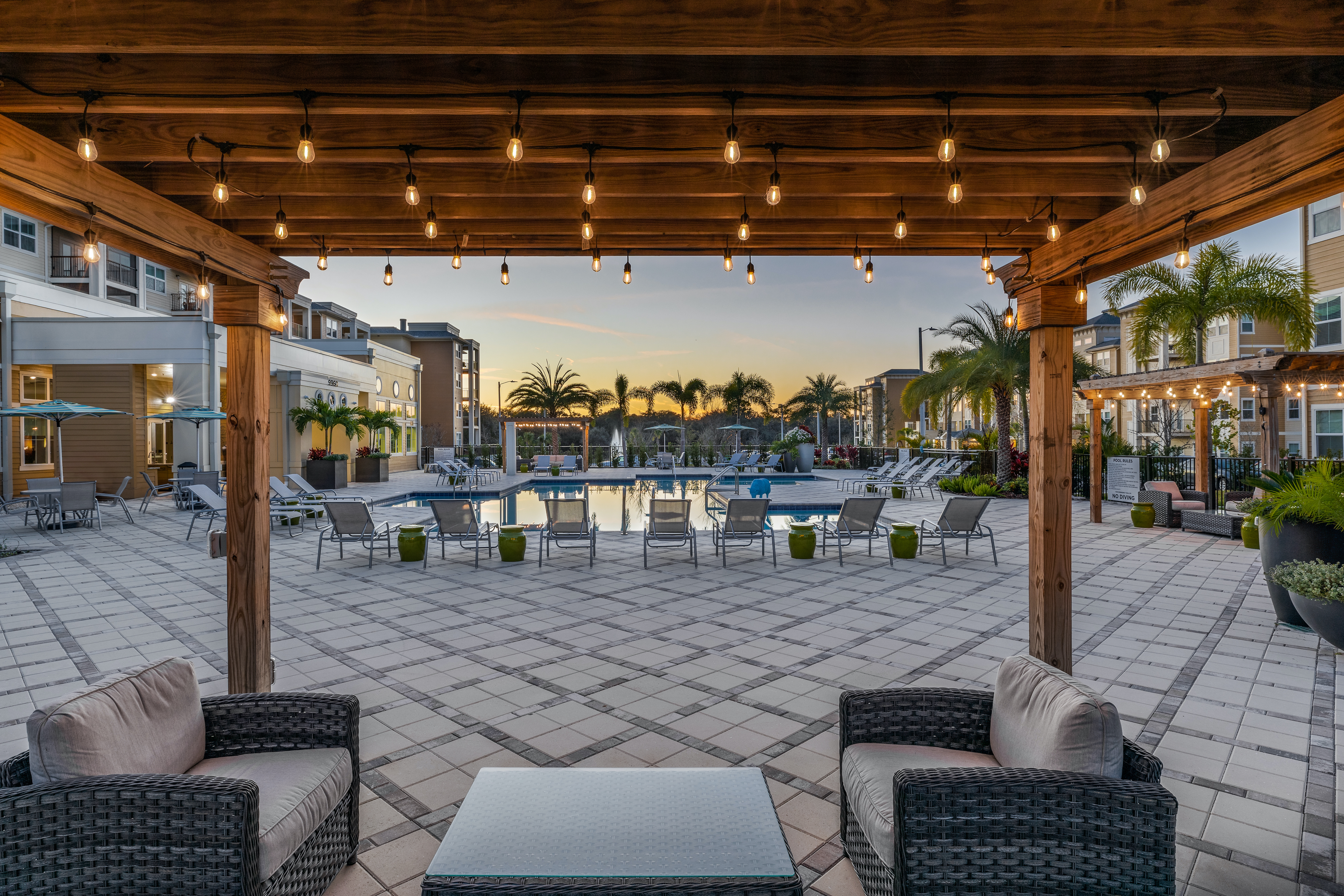 gorgeous pool view at Lola apartments