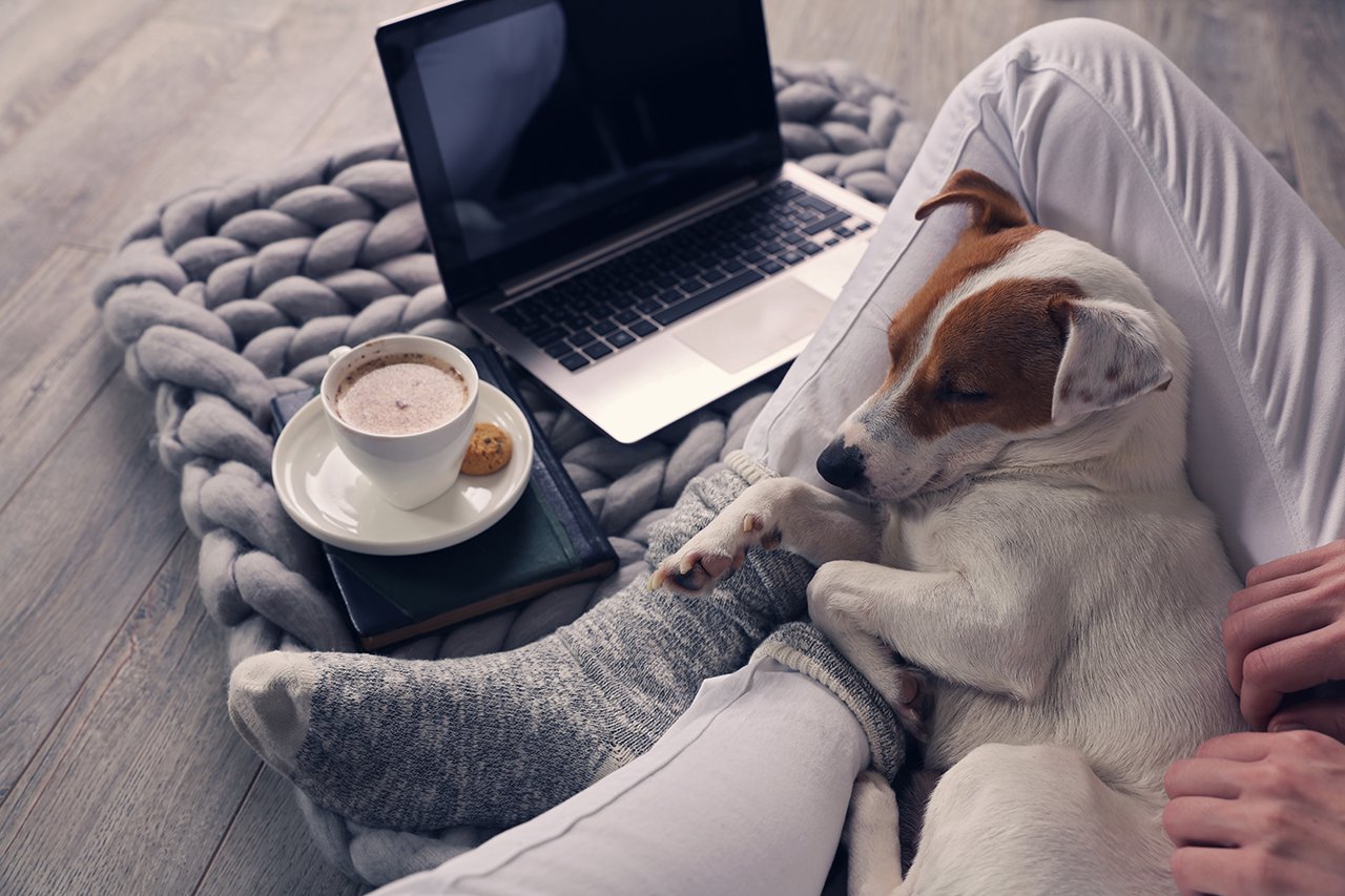 Woman-in-cozy-home-wear-relaxing-at-home-,drinking-cacao,-using-laptop Soft,-comfy-lifestyle